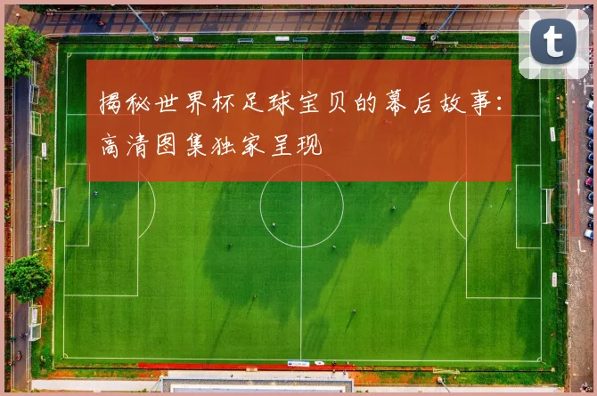 揭秘世界杯足球宝贝的幕后故事：高清图集独家呈现