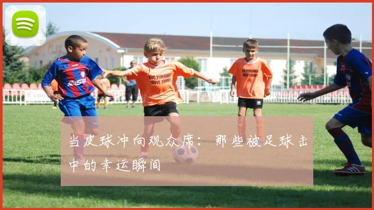 当皮球冲向观众席：那些被足球击中的幸运瞬间
