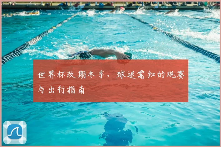 世界杯改期冬季，球迷需知的观赛与出行指南