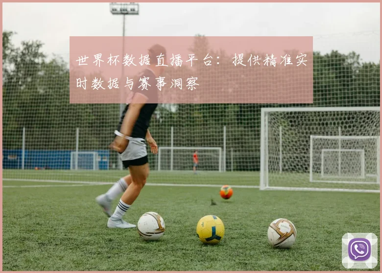 世界杯数据直播平台：提供精准实时数据与赛事洞察