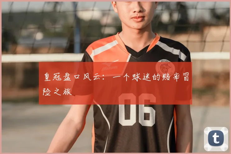 皇冠盘口风云:一个球迷的赔率冒险之旅